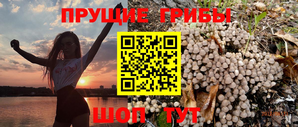 Псилоцибиновые грибы MAGIC MUSHROOMS Усть-Джегута
