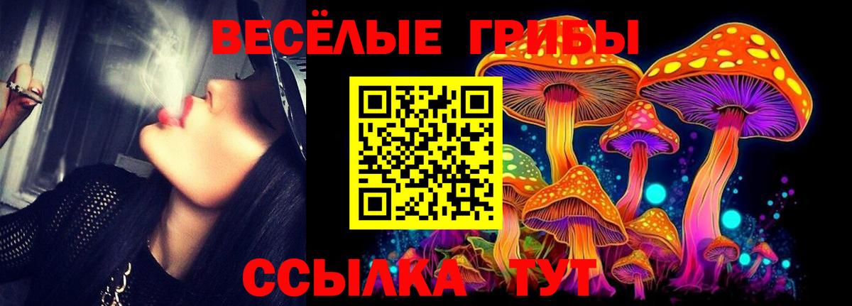 Галлюциногенные грибы прущие грибы  Галлюциногенные грибы ЛСД  Усть-Джегута  Вход с VPN 