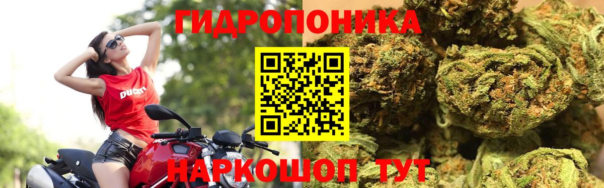 Шишки марихуана гибрид Усть-Джегута